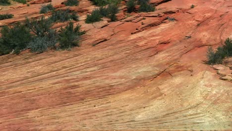 Rock-Erosion-Pattern-In-Dry-Sandstone-Landscape-In-Zion-National-Park