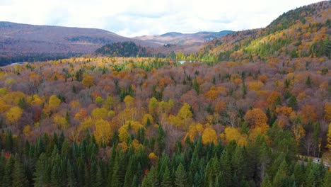 a scenic mountain view with dense forests and vibrant fall yellow colors among green treetops with sunlight on hills, peaceful and serene