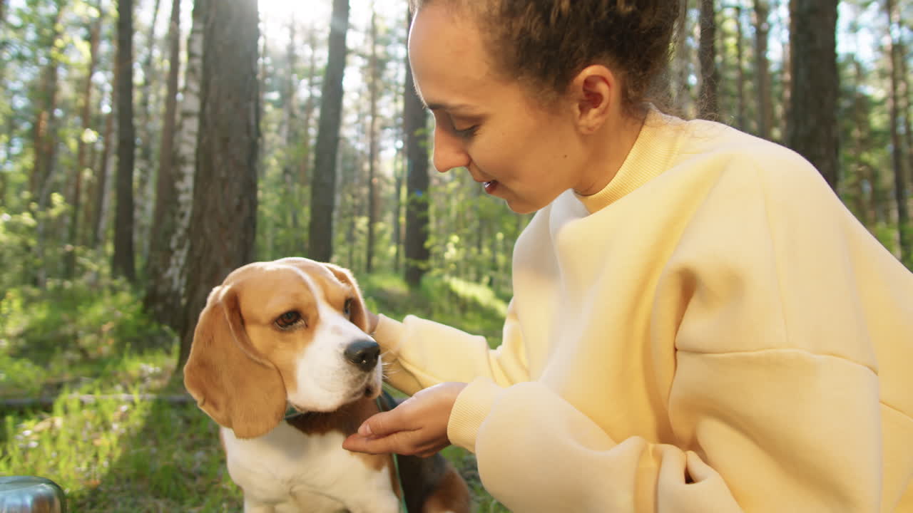 Donna e cane Beagle nel bosco