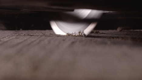 sharp teeth of circular saw blade on wood