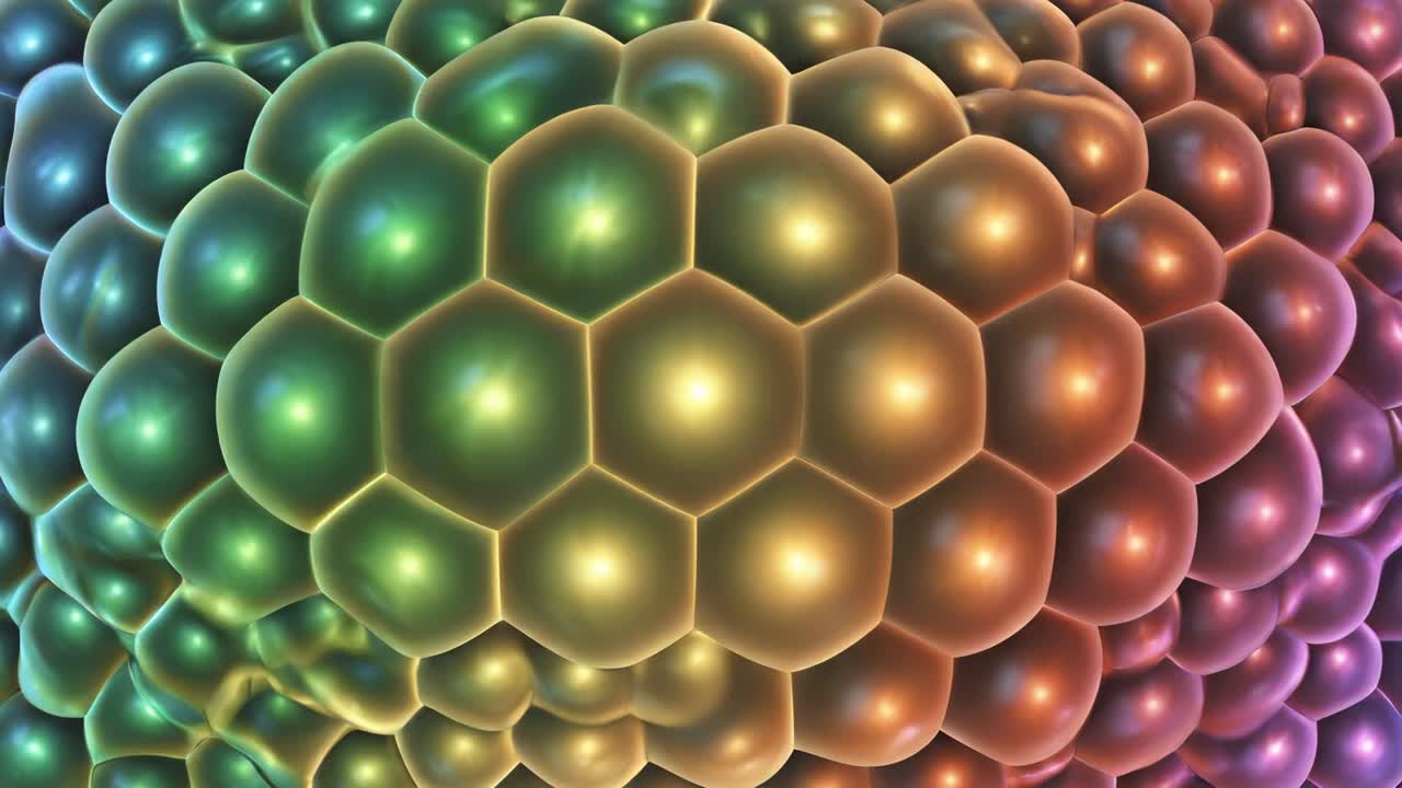 Abstract Bubbles and Cells