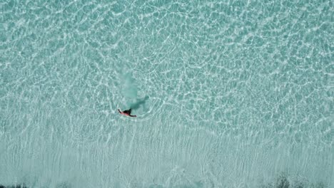 Lucky-Bay is-a bay located-inWestern-Australia,-in-the Cape-Le-Grand-National-Park-3