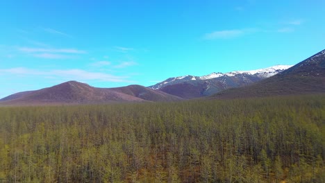 a stunning aerial perspective showcases a dense forest with rolling mountains under a clear blue sky, highlighting the natural beauty and vast expanse of the landscape