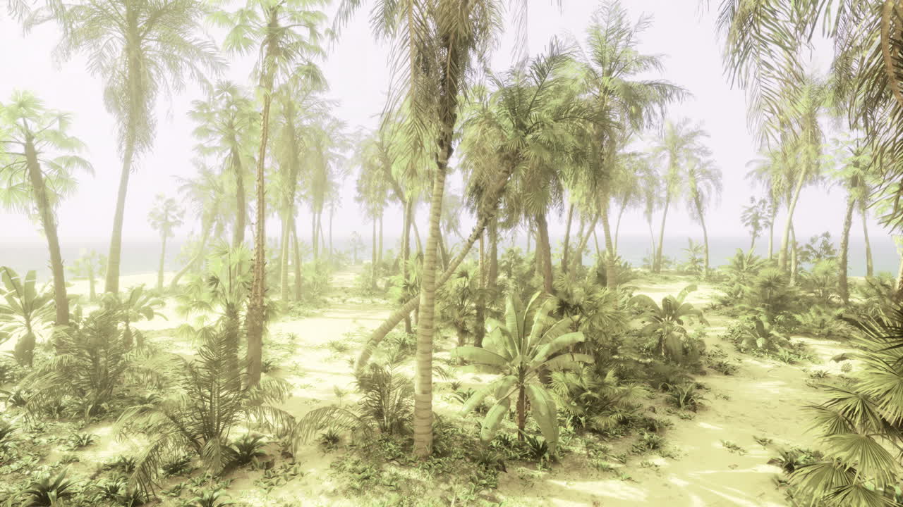 Tropical scene with palm trees and lush greenery by the ocean