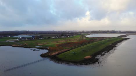 Aerial-View-Of-Birds-Flying-Above-Crezeepolder-Nature-Reserve-At-Ridderkerk-In-Netherlands-Beside-River-Noord