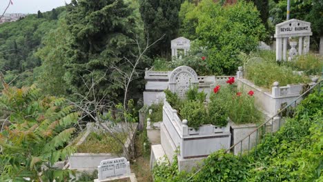 cementerio en una ladera con árboles maduros y flores