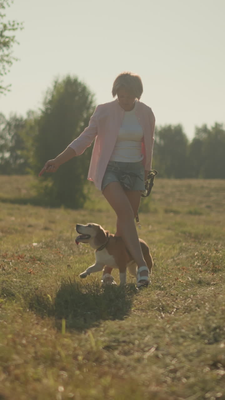 Dog joyfully performs trick by passing through owner's legs in grassy farmland under bright sunny day, woman in pink shirt guiding dog in an open field surrounded by green trees