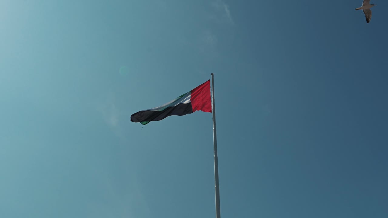 un pájaro vuela más allá de la bandera de los emiratos árabes unidos ondeando en la parte superior del mástil de la bandera gigante de 122 metros de altura en abu dhabi, emiratos árabes unidos