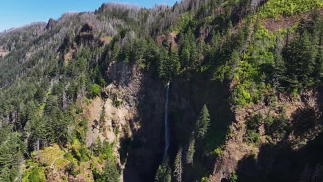 catarata del noroeste del pacífico en el bosque