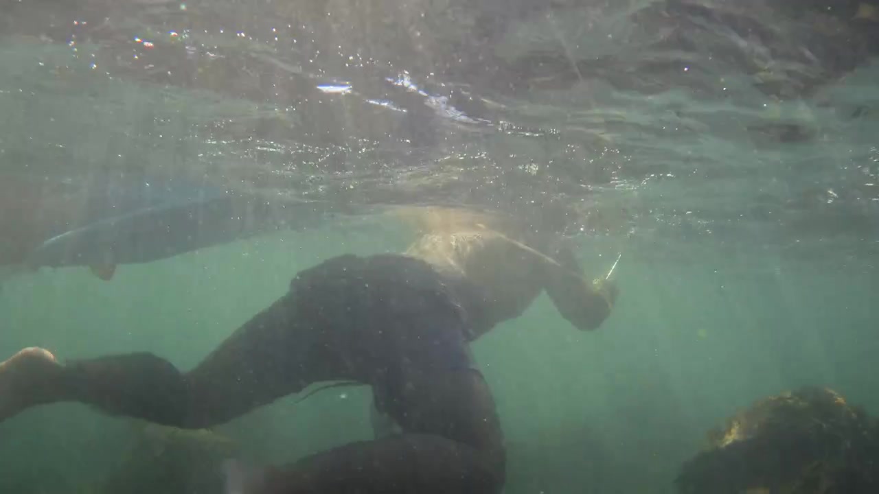 Person med snorkeludstyr svømmer over stenet havbund med solstråler, der filtrerer gennem det klare grønne vand og luftbobler