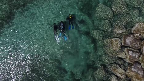 una vista de pájaro de buzos en aguas poco profundas