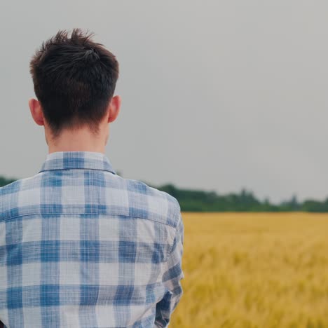 Man-Admires-A-Field-Of-Wheat-At-Sunset