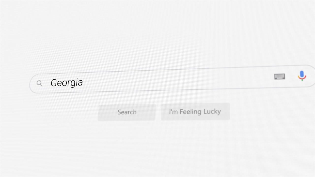 Searching for Georgia on Internet browser