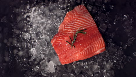 SUPER-SLOW-MOTION-Overhead-view-of-salt-is-sprinkled-onto-fresh-uncooked-salmon-fillet-lying-on-the-ice-pile.-Shot-with-high-speed-camera,-420-FPS