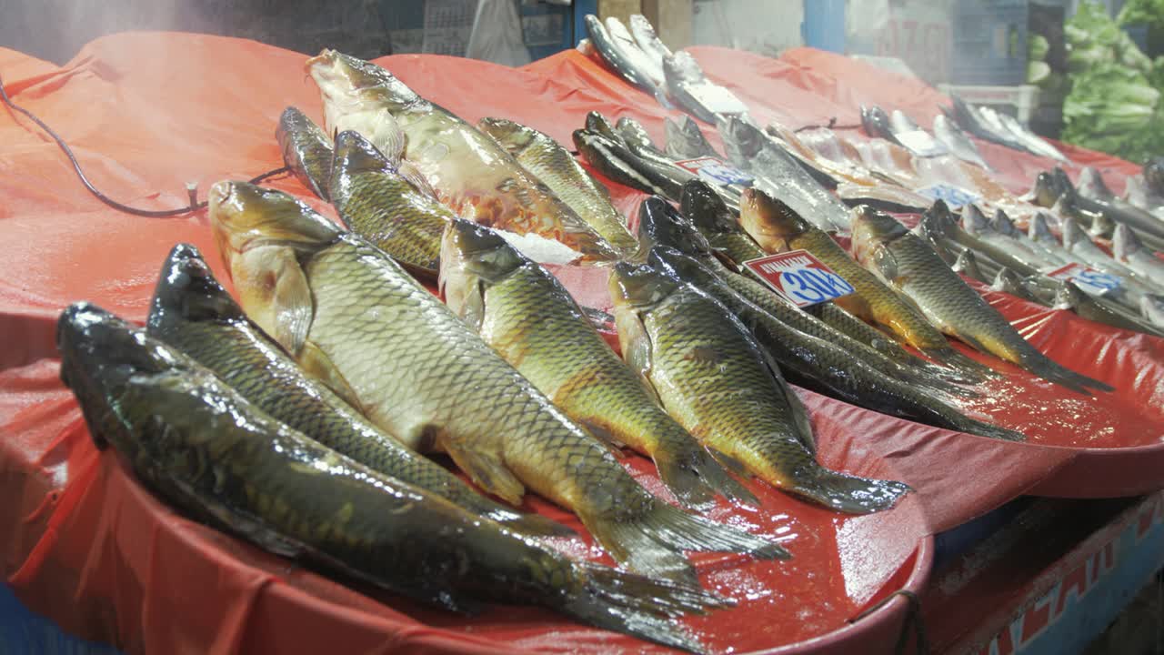 pescado fresco a la venta en el mercado turco