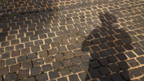 A-man-casting-his-own-shadow-while-standing-on-a-brick-street-pavement-as-other-people-pass-by-casting-their-own-shadows-as-well