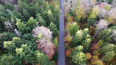 a tesla ev drives through a mountain pass during fall season in switzerland