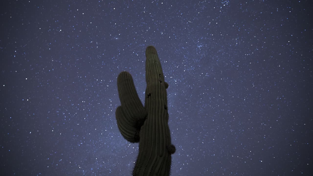 Les étoiles tourbillonnent rapidement dans le ciel derrière un grand cactus saguaro dressé - timelapse.