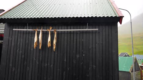 stockfish drying in gjogv, traditional faroese preservation technique in eysturoy