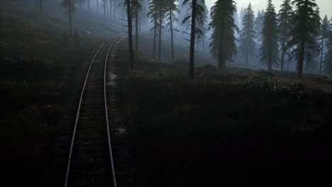 área-De-Recreación-Del-Bosque-Nacional-Y-La-Niebla-Con-Ferrocarril