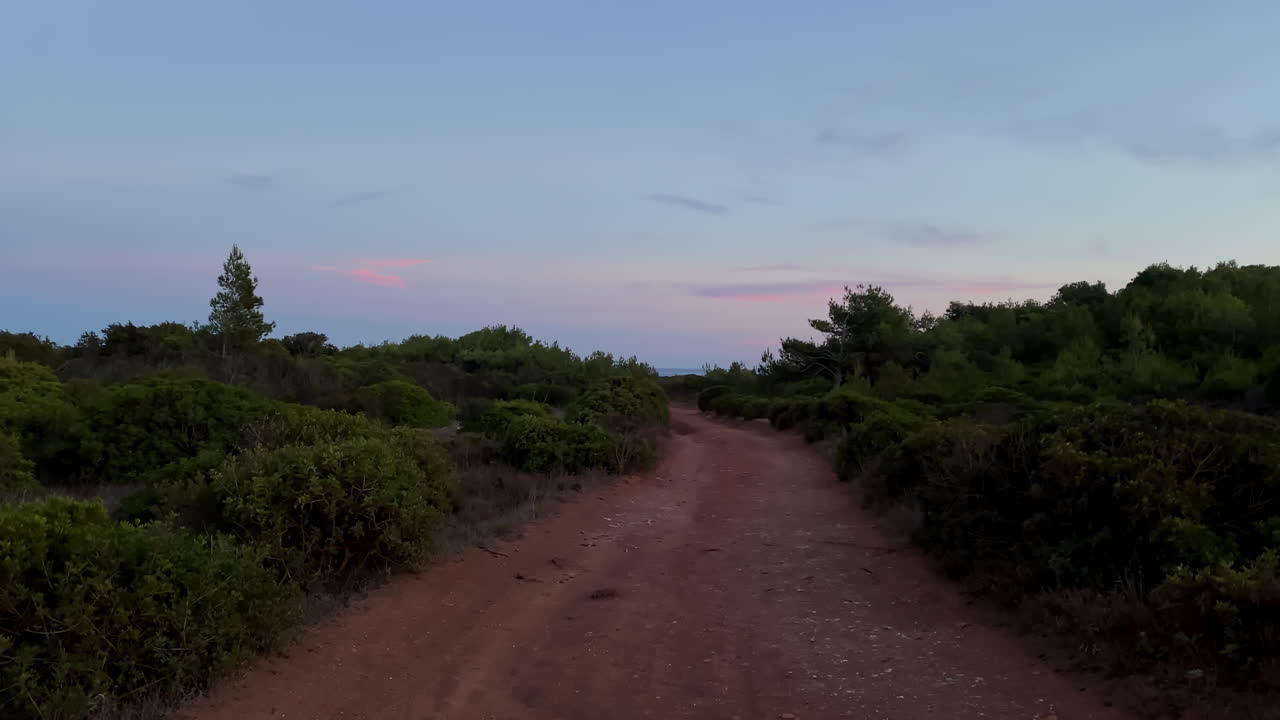 the red dirt road stretches toward the horizon under a pink Algarve sky at dusk Soft evening light falls over coastal pines in Sagres, blending green and gold under a fading sky