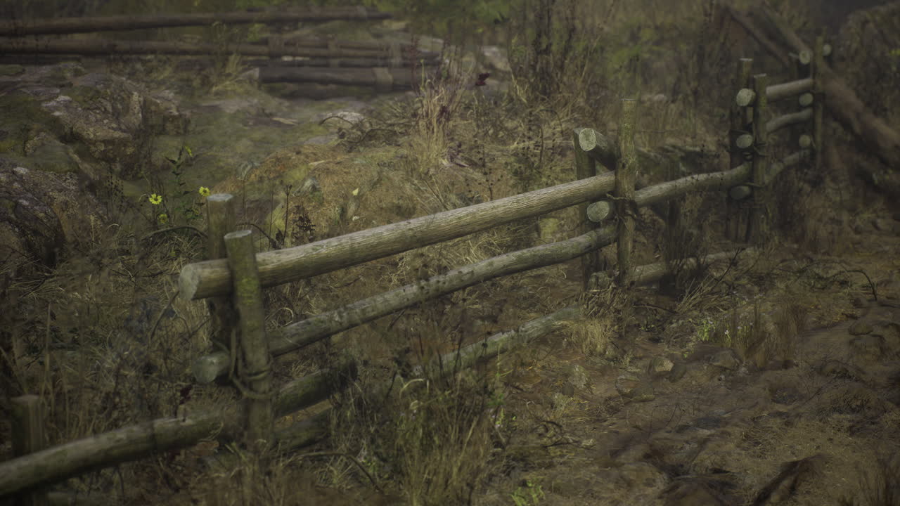 Rustic wooden fence in a serene landscape with overgrown vegetation