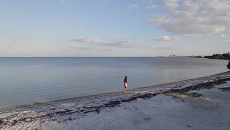 along the shoreline in st. petersburg, florida, a girl walks with the sunshine skyway bridge rising in the distance.