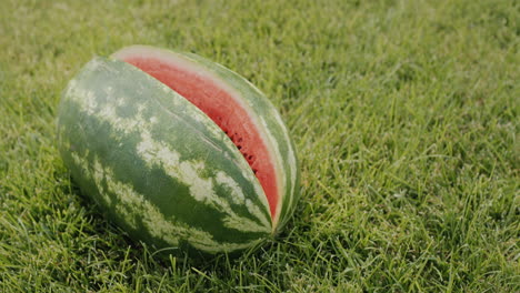 Auf-Dem-Gras-Liegt-Eine-Große-Reife-Wassermelone-Mit-Einem-Ausgeschnittenen-Abschnitt.-Picknick-Zu-Hause