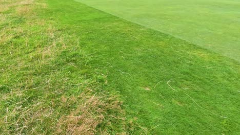 lush green fairway at historic golf course