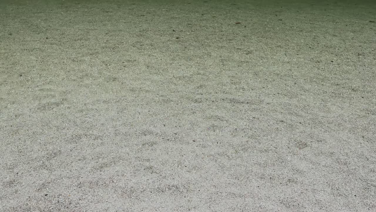 A tranquil riverbed with gentle water flow, showcasing a textured sandy bottom under soft lighting