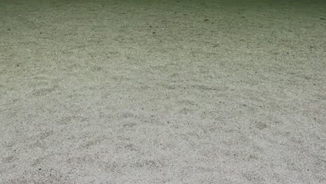 a tranquil riverbed with gentle water flow, showcasing a textured sandy bottom under soft lighting