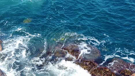 HD-Hawaii-Kauai-slow-motion-static-wide-shot-looking-down-on-ocean-waves-swirling-around-rocks-in-lower-frame-with-two-sea-turtles-surfacing-in-left-center-frame