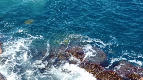 Hd-Hawaii-Kauai-Toma-Panorámica-Estática-En-Cámara-Lenta-Mirando-Hacia-Abajo-Sobre-Las-Olas-Del-Océano-Girando-Alrededor-De-Las-Rocas-En-El-Marco-Inferior-Con-Dos-Tortugas-Marinas-Emergiendo-En-El-Marco-Central-Izquierdo