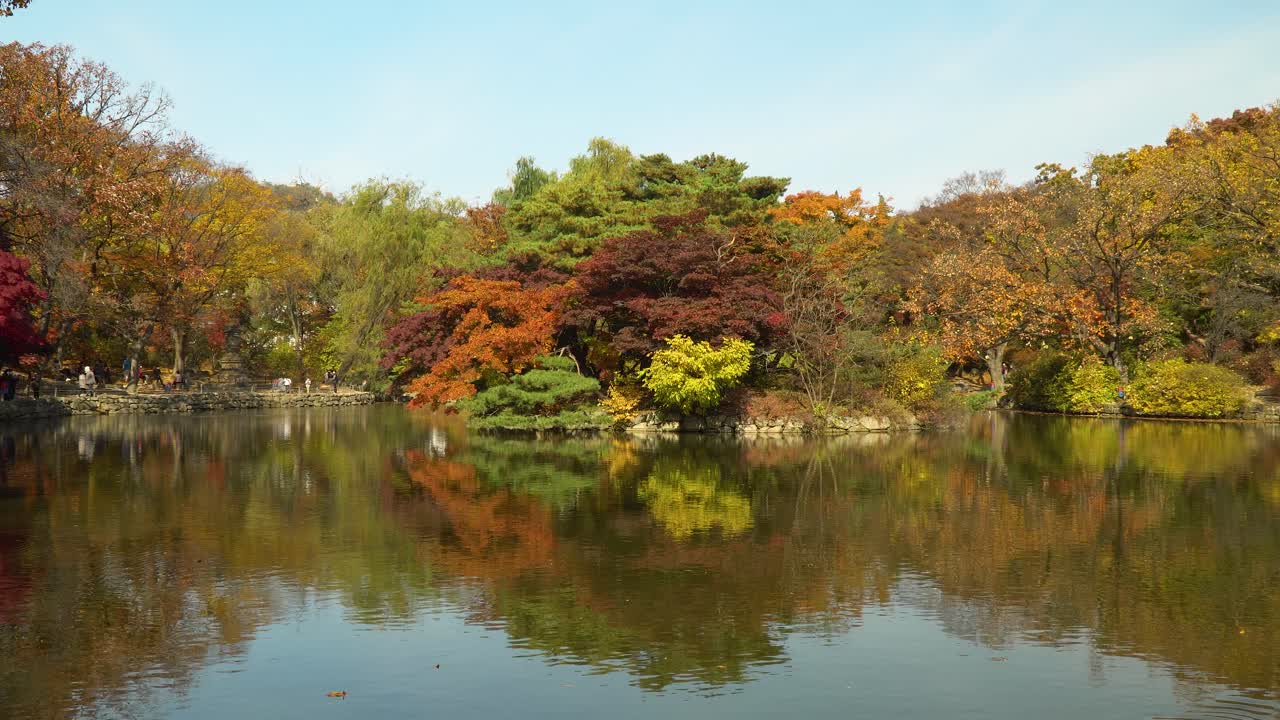 한국 서울 춘당지 연못의 고인 물에 가을 단풍과 하늘 반사