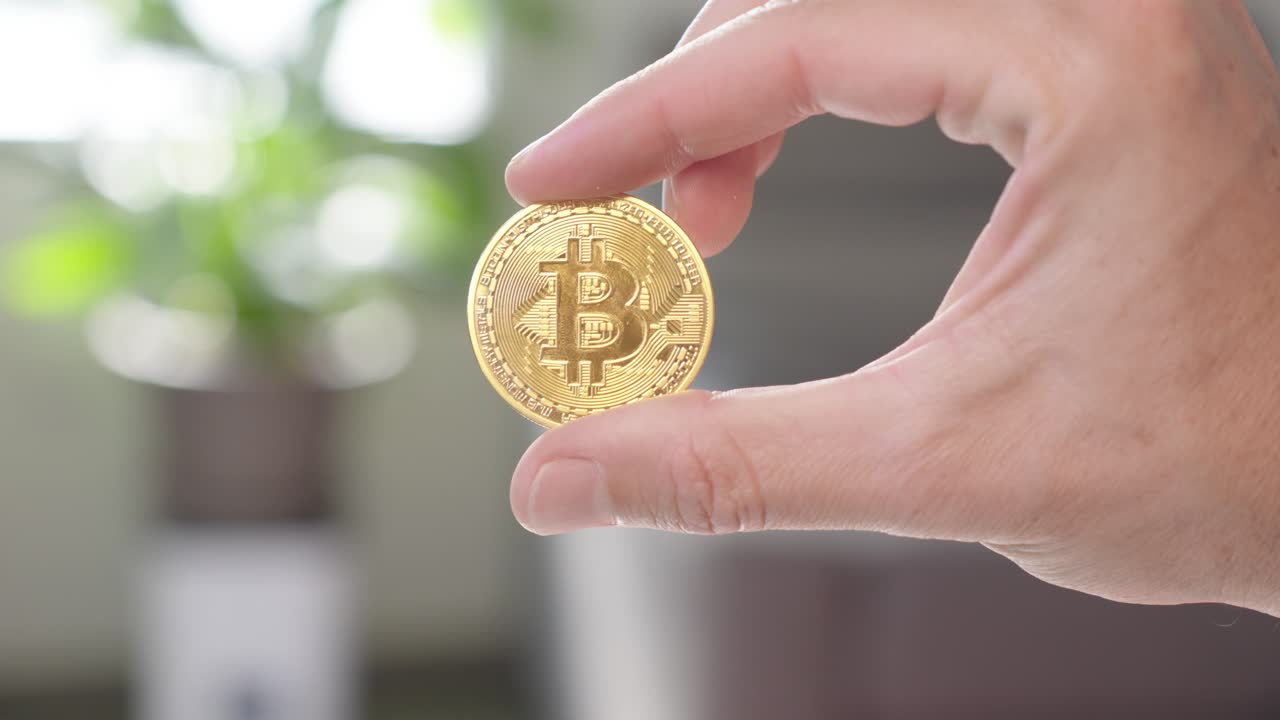 Person Holding a Bitcoin