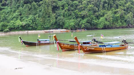 longtail boats at a tropical beach