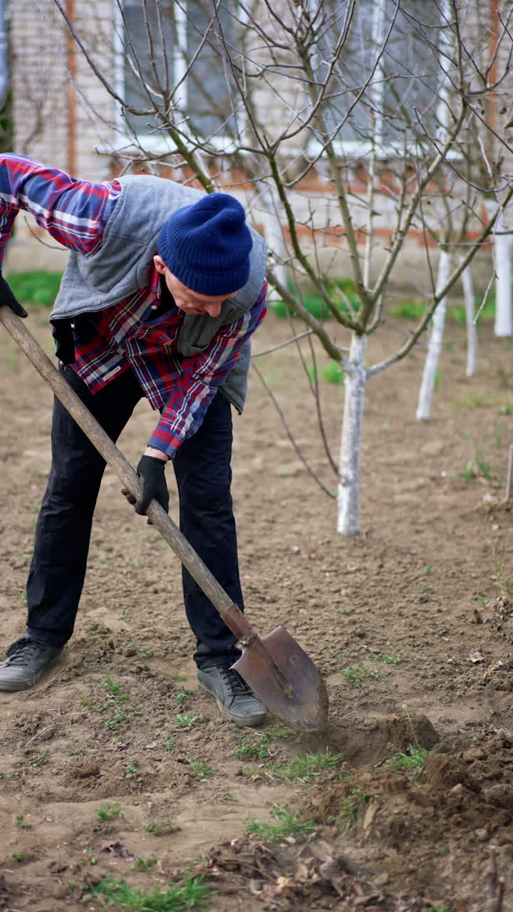 Adult Caucasian man in blue cap, checkered shirt and vest and trousers digs ground with shovel. Spring work in the garden. Vertical video.