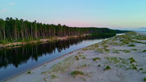 playa virgen en el mar báltico en letonia, denso bosque liman intacto