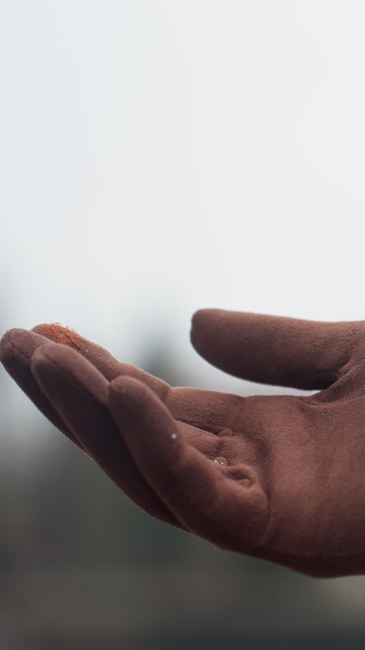 Close-up shot of hand in brown glove and jacket stretched out in light snowfall, with snowflakes gently landing on it, creating a serene winter atmosphere