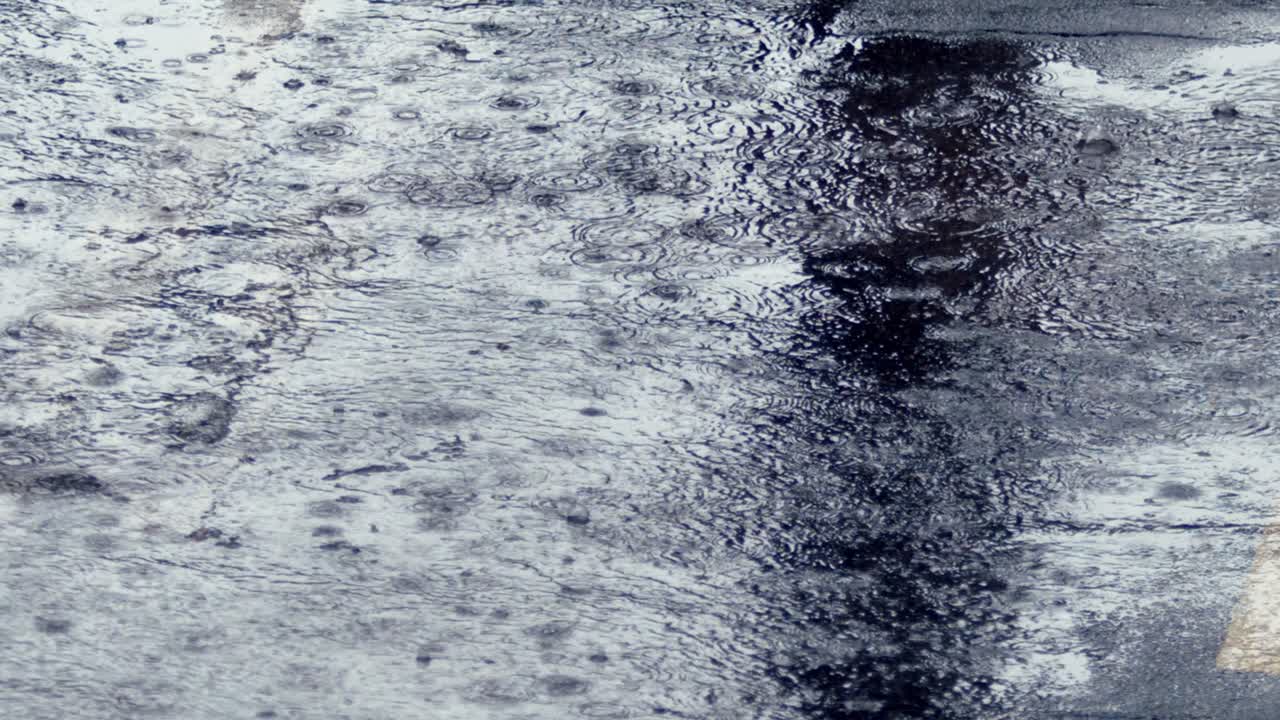 las libras de lluvia con un sonido furioso, salpicando duro en el suelo sombreado