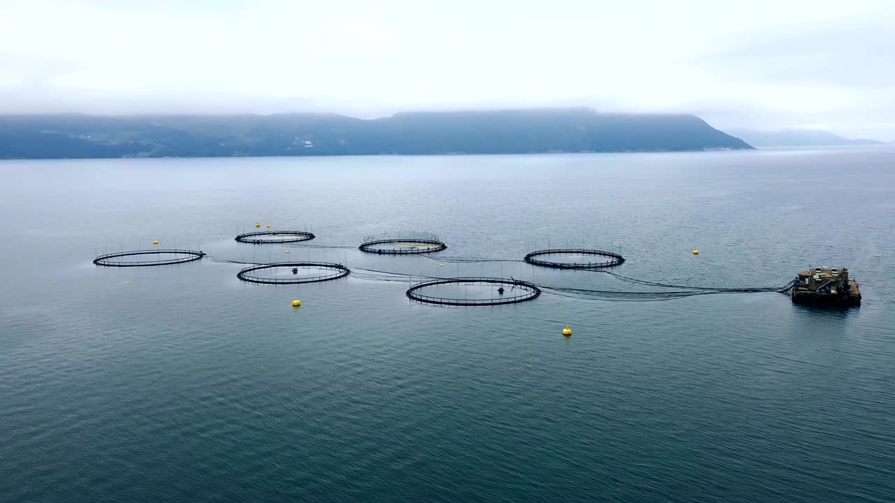 노르웨이에서 연어  ⁇ 시를 하는 공중 촬영