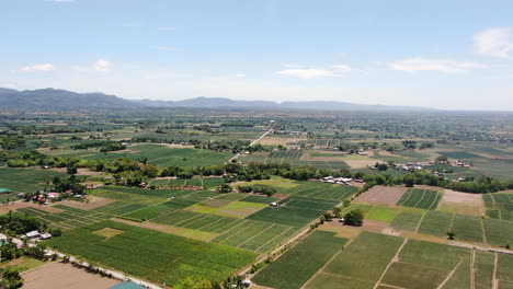 aerial view of green wide field with houses, trees and mountain with clear blue sky during daytime in 4k quality