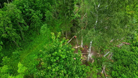 Aerial-view-of-a-forest-logging-operation-with-fallen-trees-and-surrounding-lush-greenery