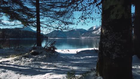 Lake-Walchensee-forest-beach-in-Bavaria,-south-Germany-in-the-scenic-alps-mountains-close-to-Austria