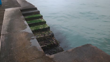 pasos venecianos de musgo en aguas tranquilas