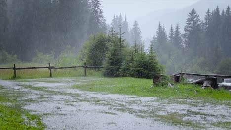 heavy rain on a background of green forest.