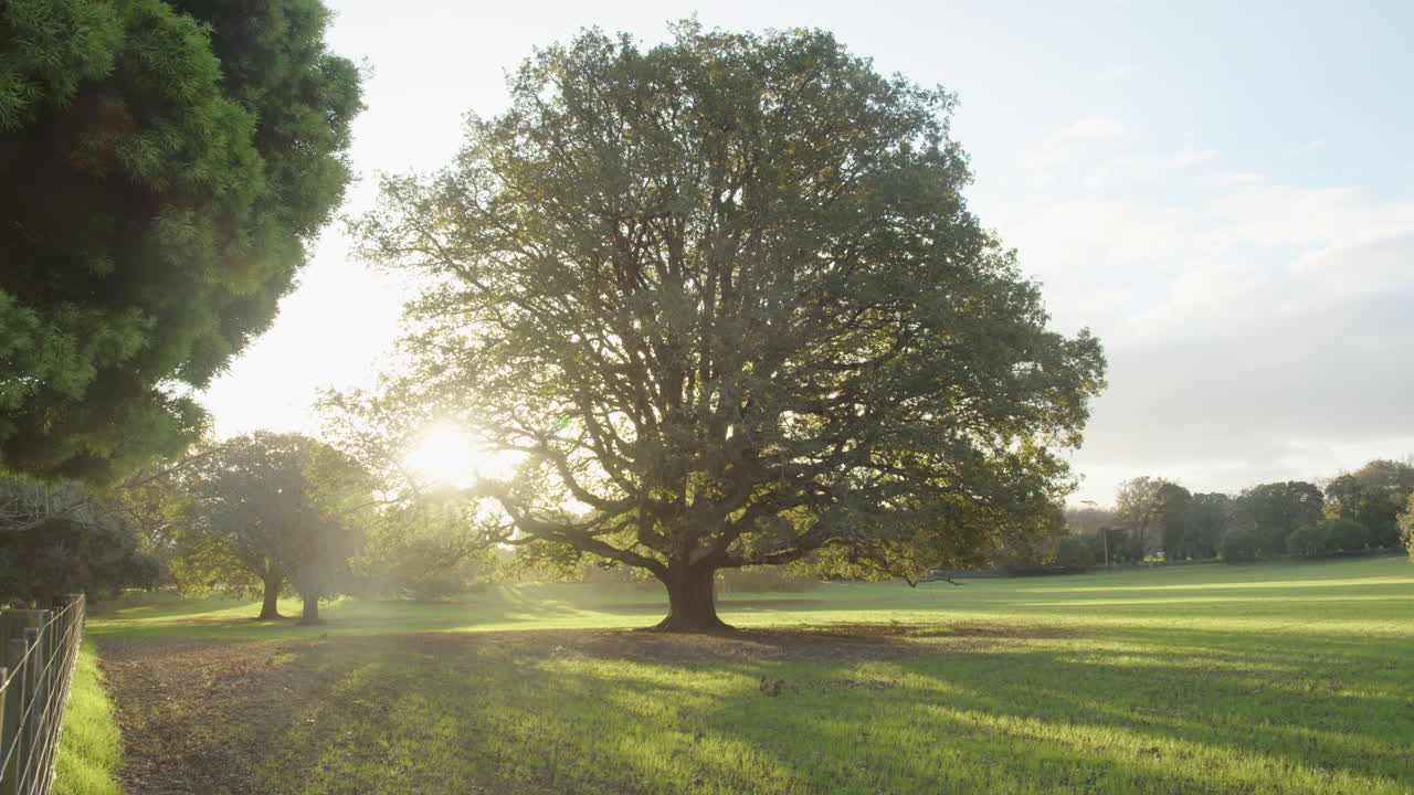 farm in the golden hour