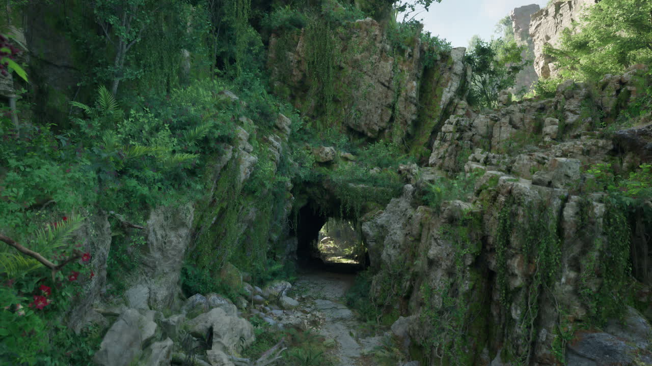 울창한 숲 속 의 신비 한 잔디 인 터널