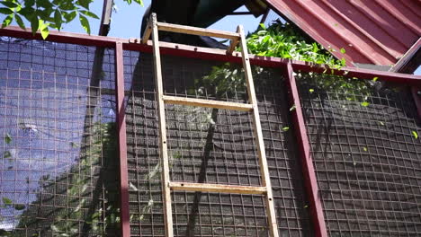 Machine-Unloading-Harvested-Green-Tea-Leaves