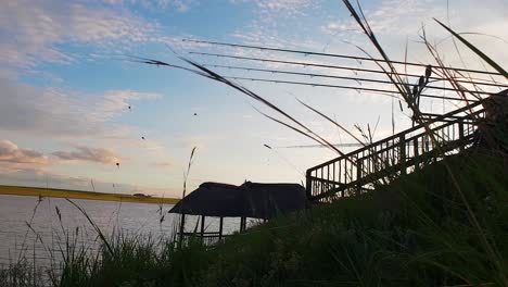 Cañas-De-Pescar-Con-Líneas-En-El-Agua-Y-Un-Pescador-Esperando-A-Que-Los-Peces-Muerdan